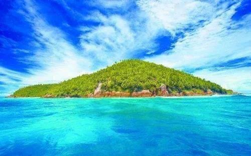 探秘蜗牛问答平台-针灸减肥为什么效果那么明显?带你解锁知识宝库